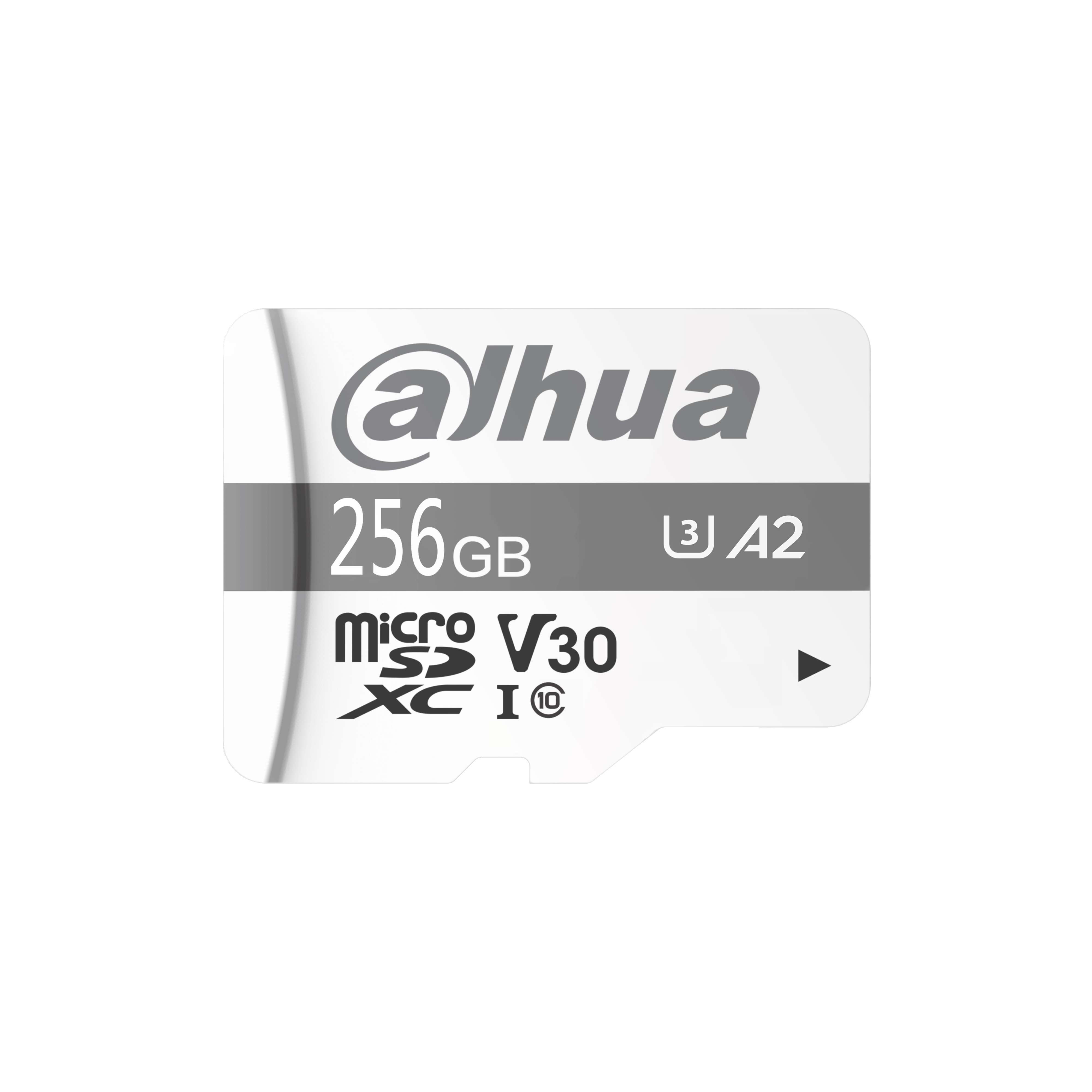 Dahua - TF-P100/256GB - MicroSD