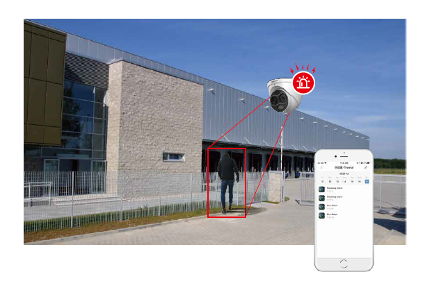 Dahua - TPC-BF1241-B7F8-DW-S8 - Thermal - Bullet