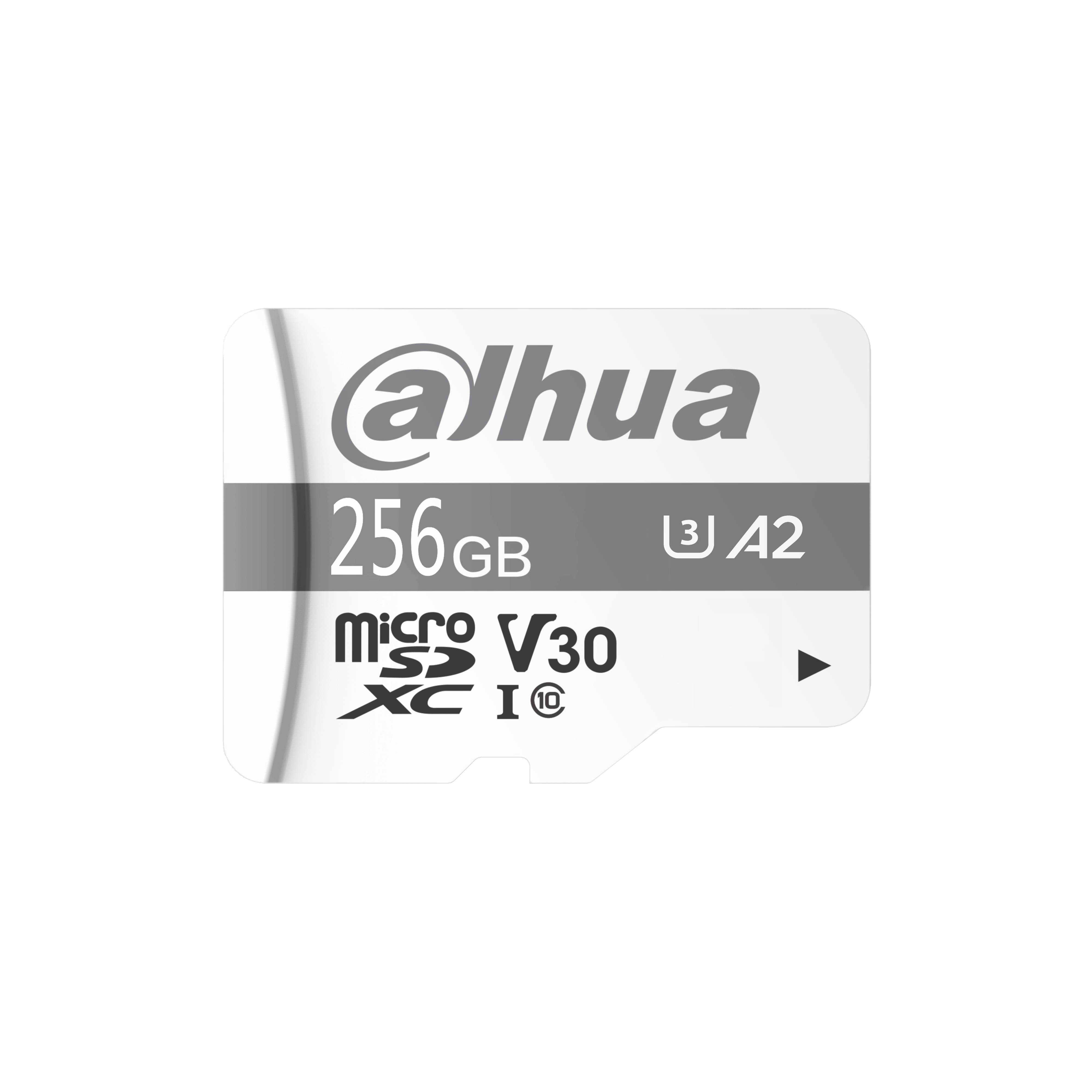 Dahua - TF-P100/256GB - MicroSD